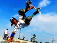 Free Style Skateboarders image