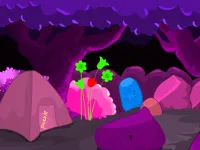 Calm Forest Escape image